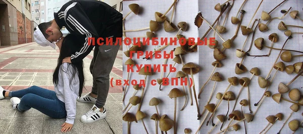 стафф Армянск