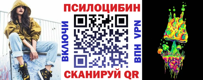 хочу наркоту  Беслан  Галлюциногенные грибы Cubensis 
