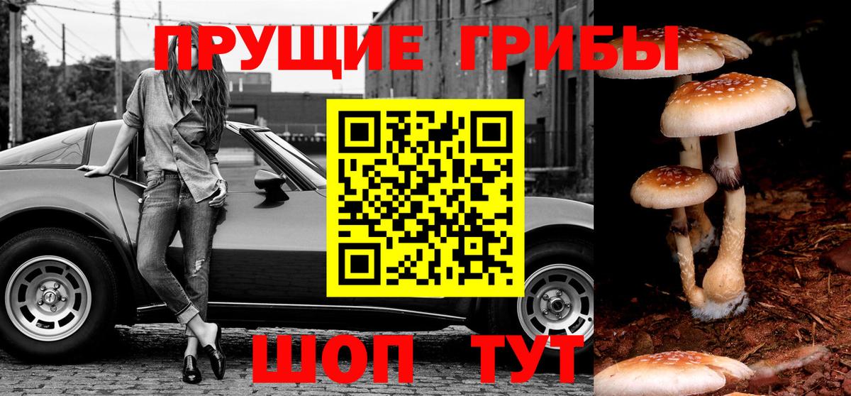 Галлюциногенные грибы Cubensis  Галлюциногенные грибы Psilocybine cubensis  Вход с VPN  Беслан 