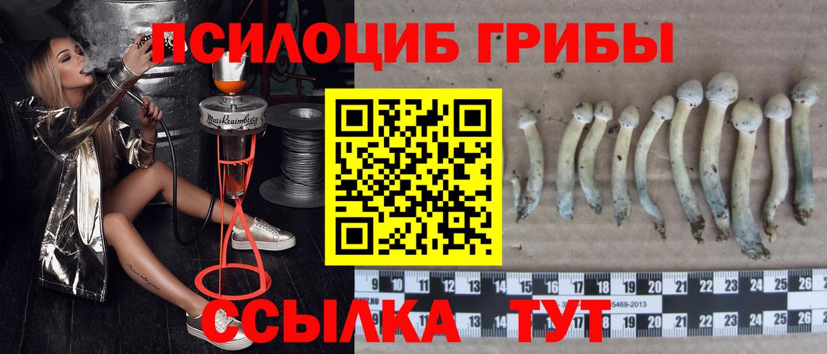 Псилоцибиновые грибы ЛСД  Псилоцибиновые грибы ЛСД  Беслан 